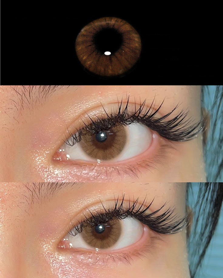 EYE LENSES - AVELA